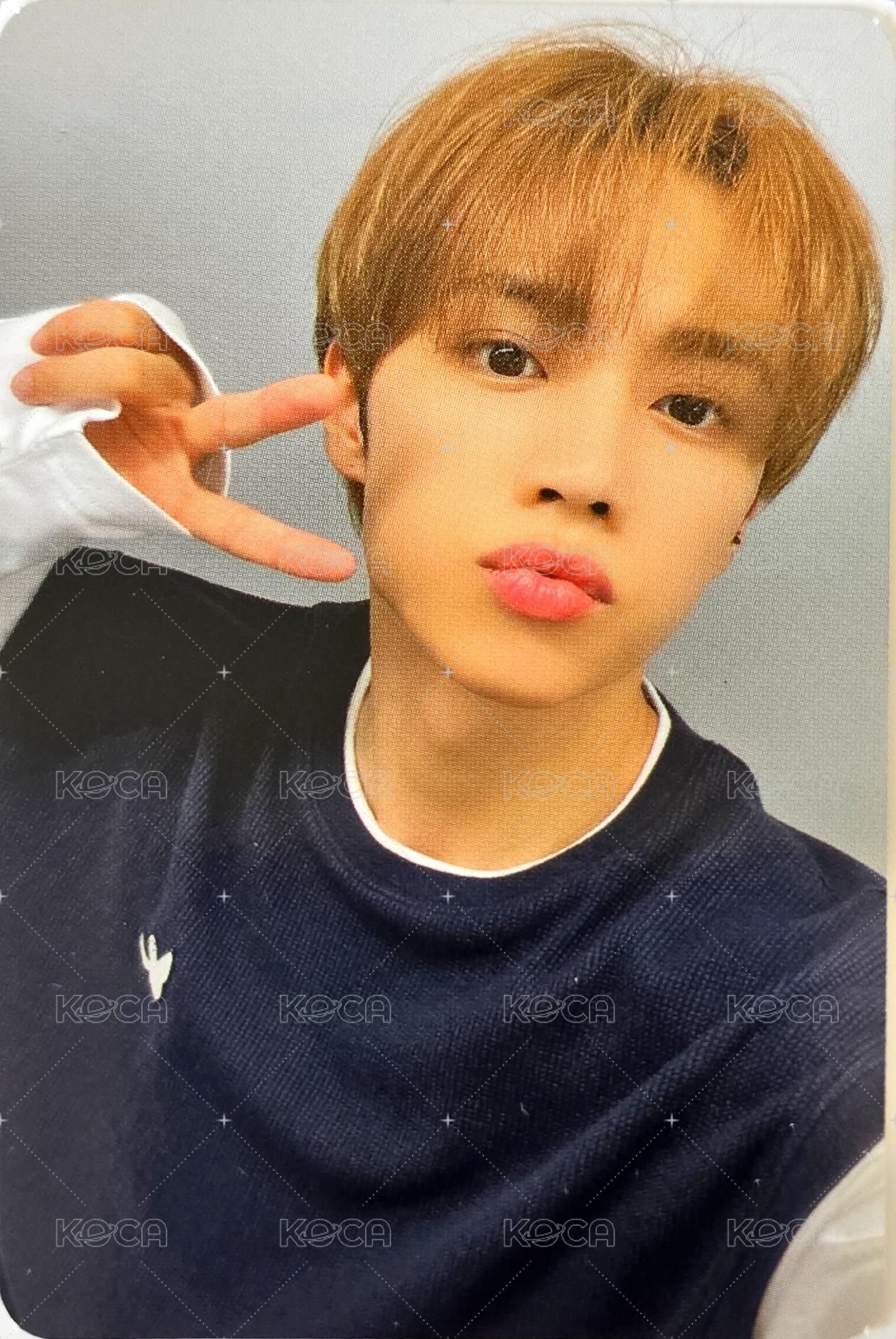 What it isNt 代言卡 22F/W 1.0 正面