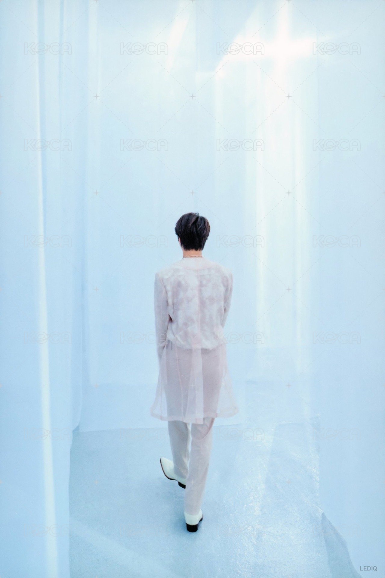 Proof 明信片 Standard 隨機 背面