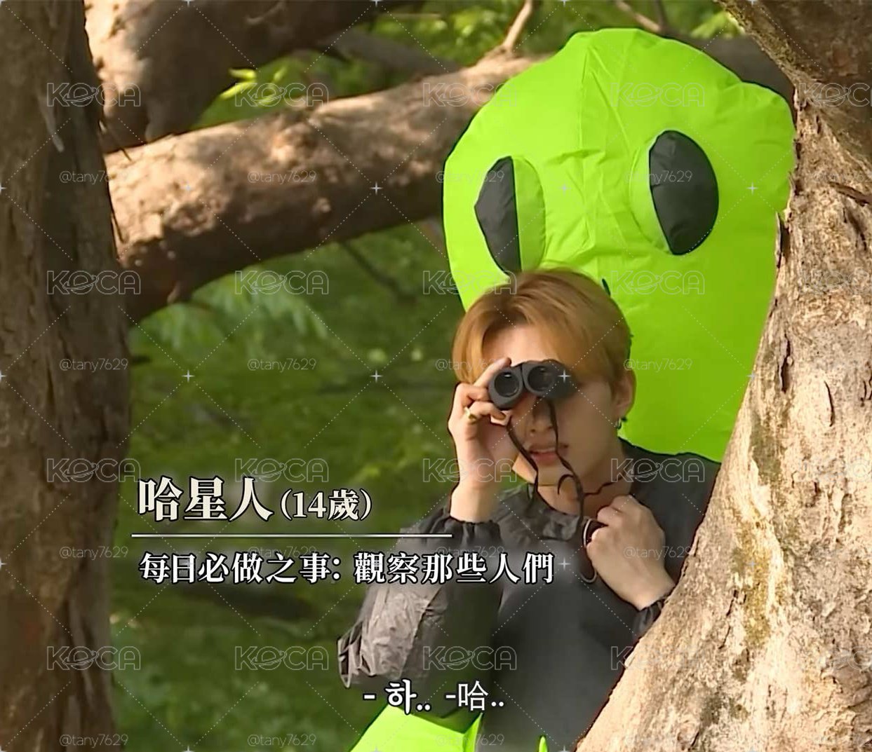 全俊盤/6張