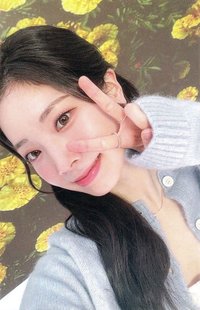 D’FESTA D社 周邊卡 