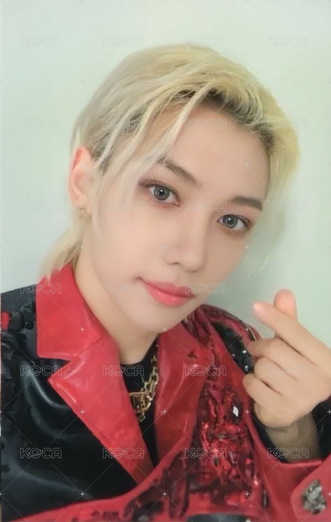 1st 日本巨蛋巡迴 演唱會 DVD / CD 卡 通常盤 正面