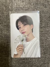 親愛盤 漢拿花漢