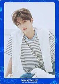 Wacky Willy 代言卡 