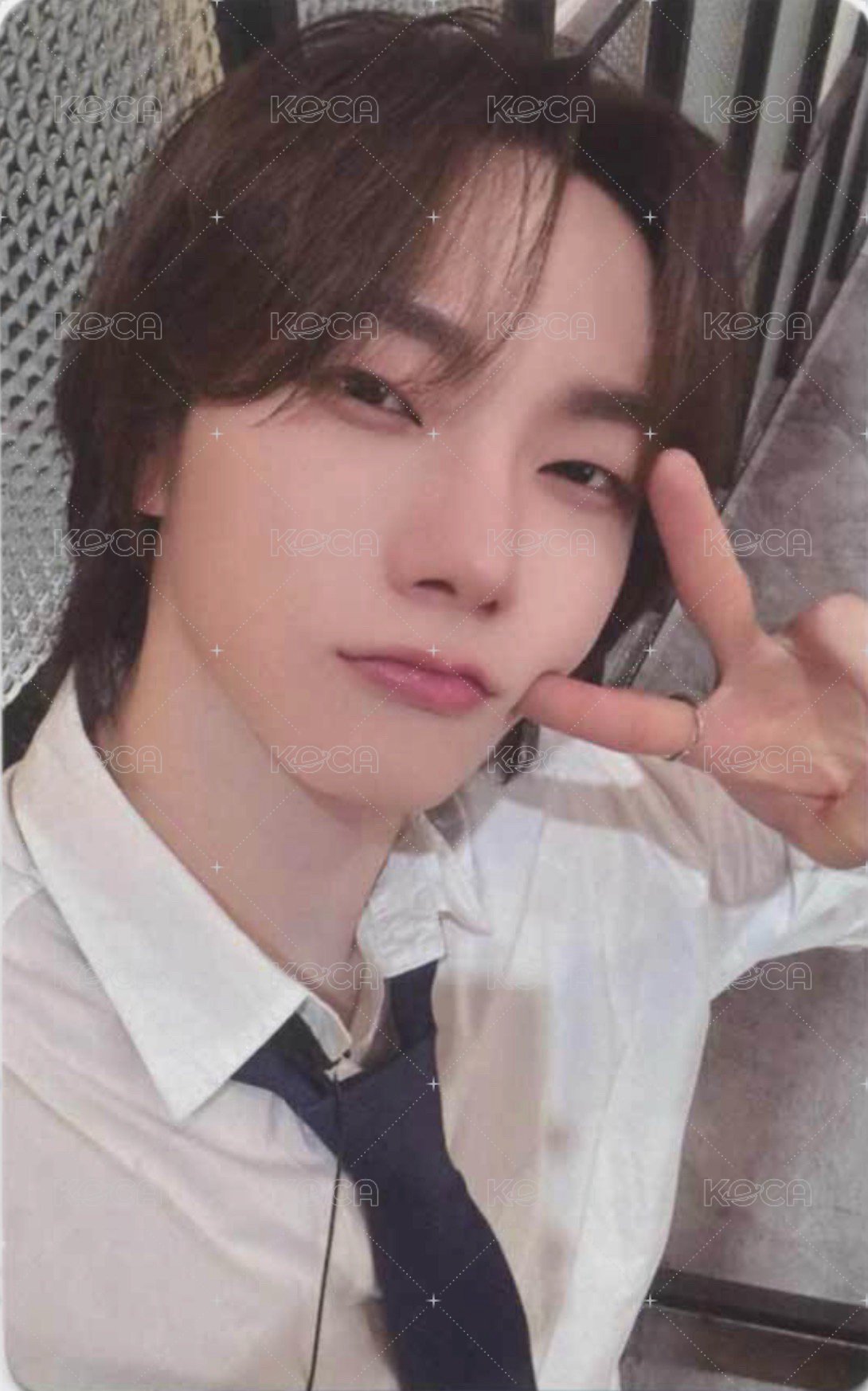 19.99 wvs 預售 特典卡 西裝 1 正面