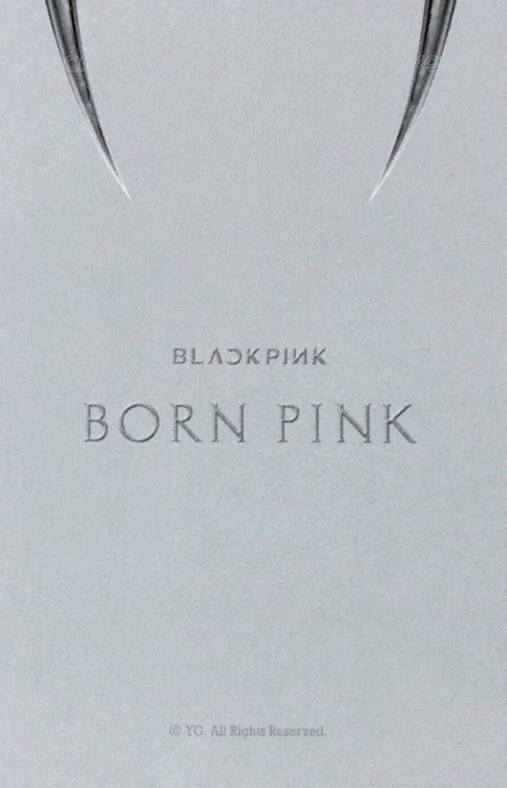 BORN PINK yg 特典卡 Digipack A ver. 背面