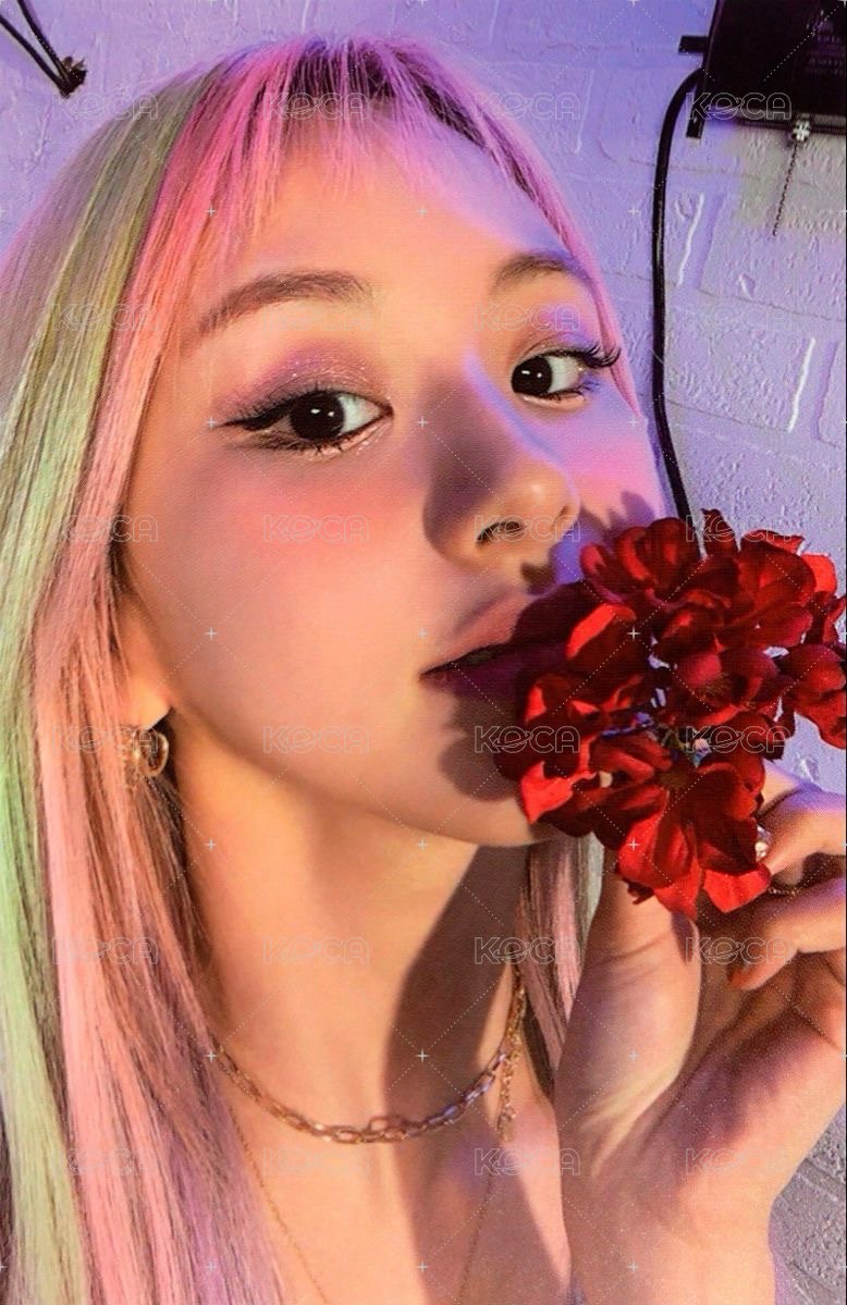 Taste of Love 專輯卡  正面