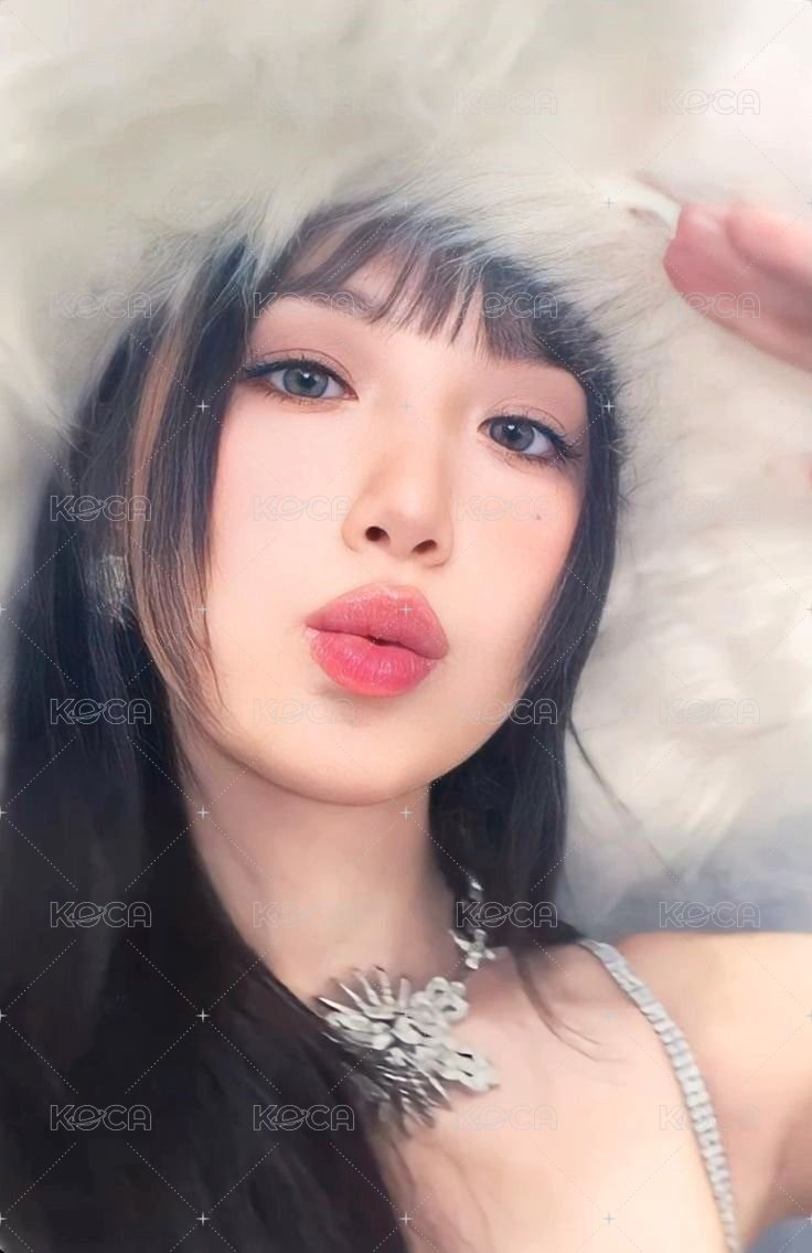 正規二 sw 1.0 特典卡 雪帽刷 正面