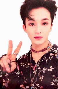 Regular-Irregular 專輯卡 regular