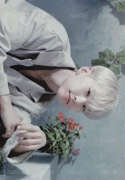 消費期限 生寫真  正面