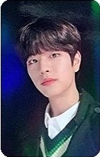 聖誕 新那拉 特典卡 