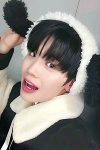 迷五 ms 幸運卡 小狗 ver.