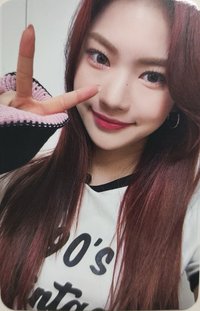 Teddy Bear sr 2.0 特典卡 