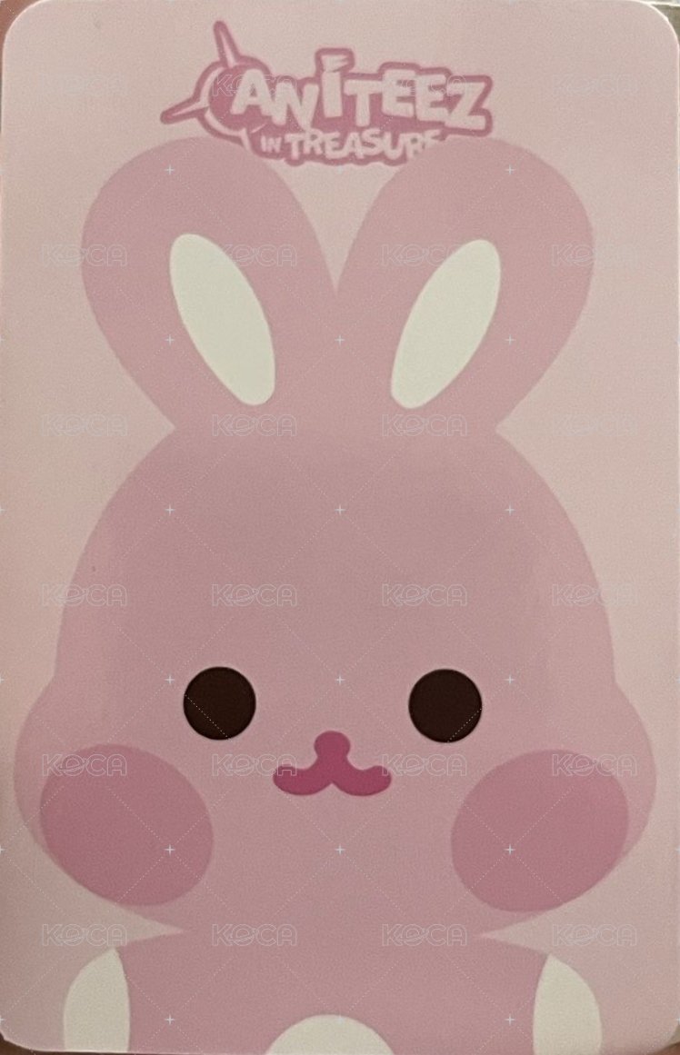 ANITEEZ IN TREASURE 周邊卡 FLAT FUR PLUSH 背面
