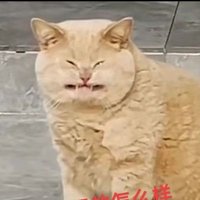 吉
