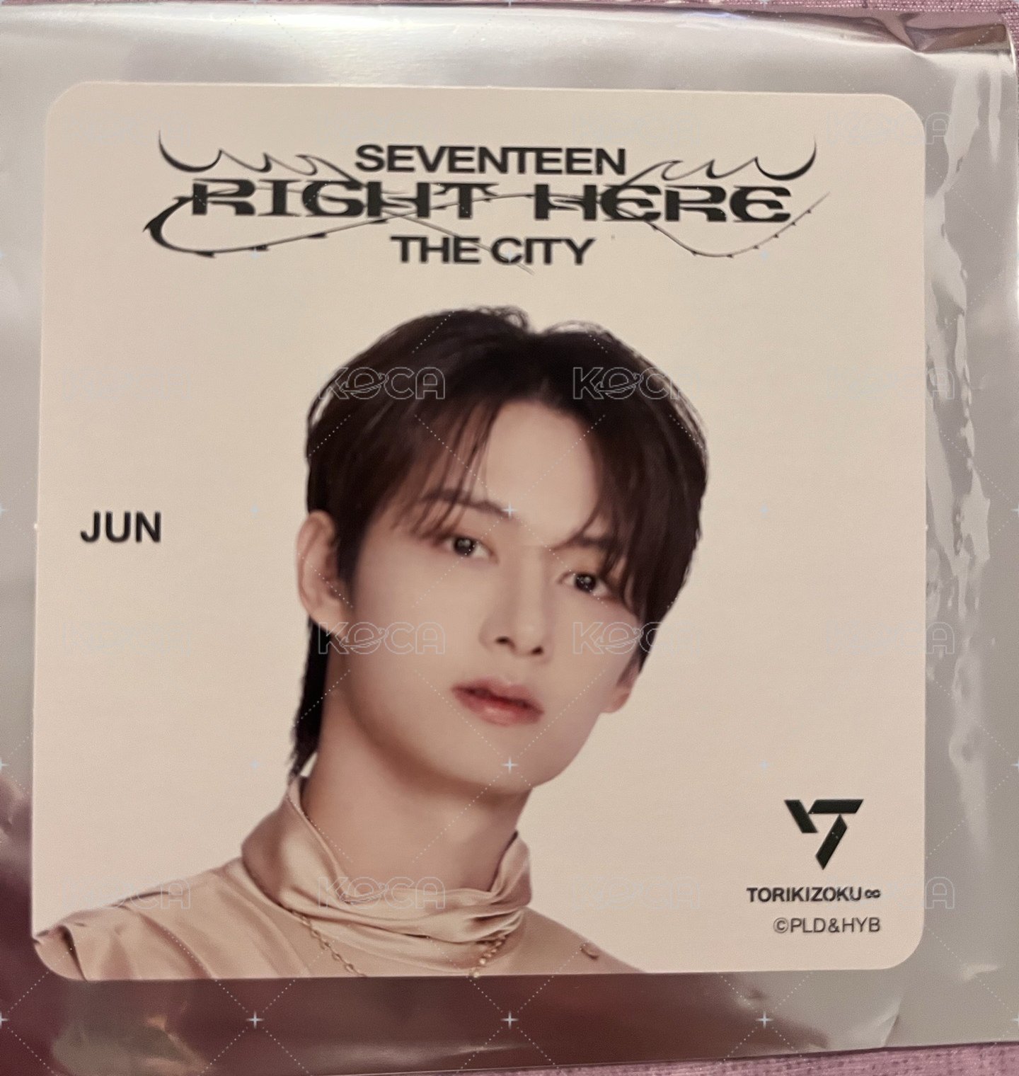  日巡 鳥貴族杯墊 俊