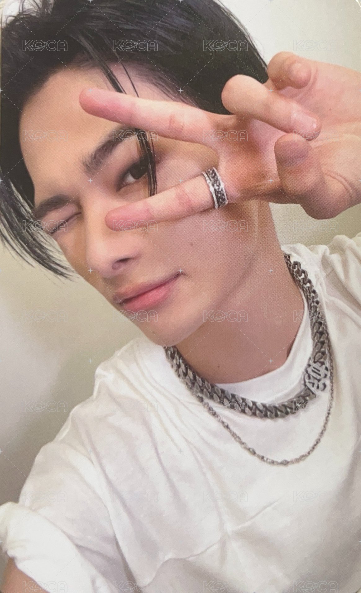 FATE+ 入場卡 / 場限卡  正面