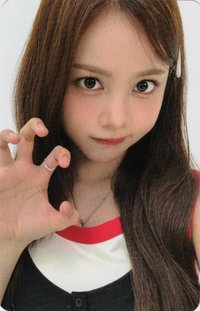 迷一 k4 dingo 直播卡 