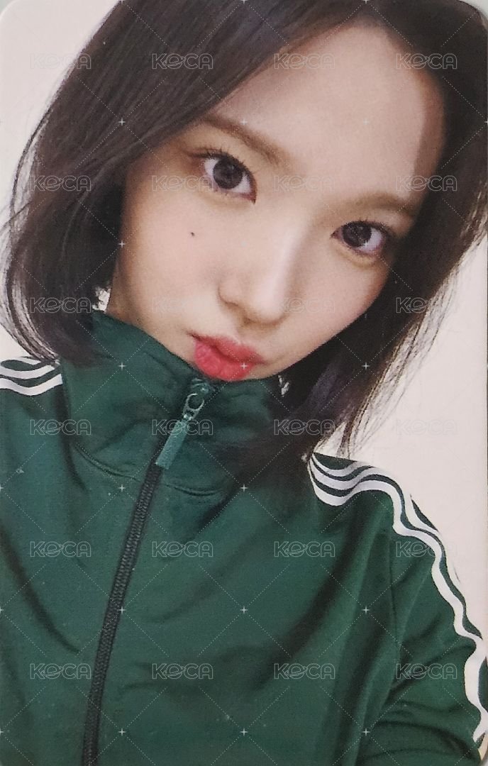 單一 ju 簽售卡  正面