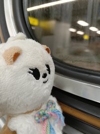 釉仔