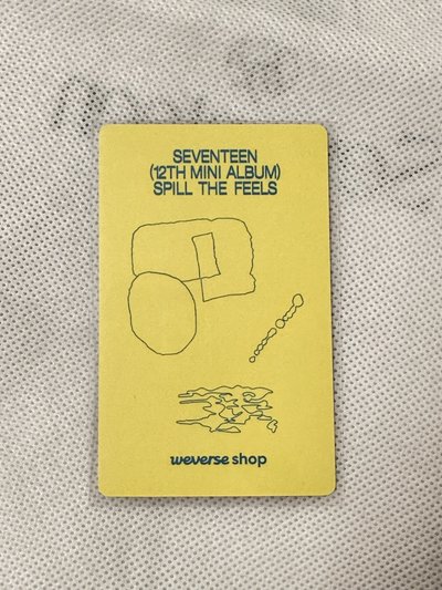 Woozi 迷12 WVS PB特典