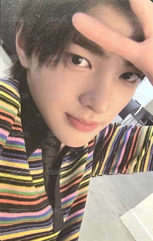 迷一 wvs 預售 特典卡  正面