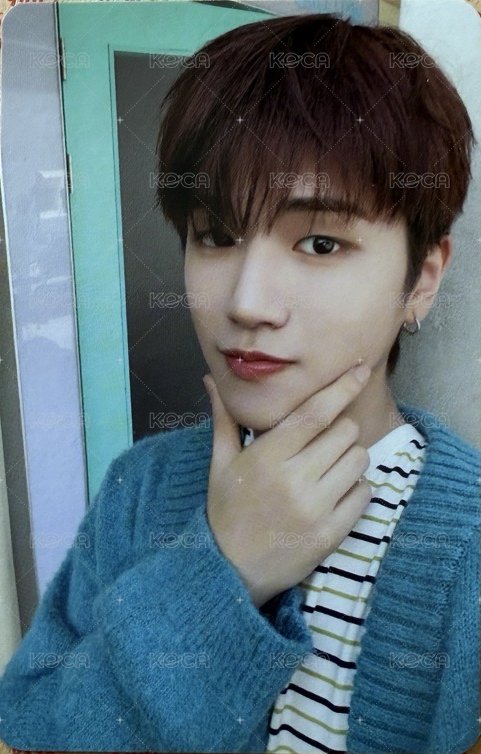 24年曆 wvs 年曆卡 固配卡 正面