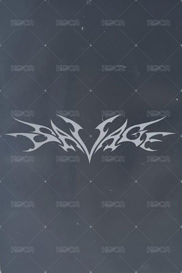 Savage 專輯卡 hallucination quest 故障柚 背面