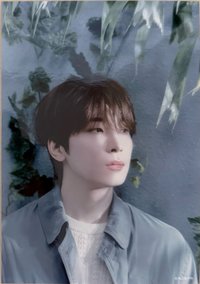 消費期限 生寫真 