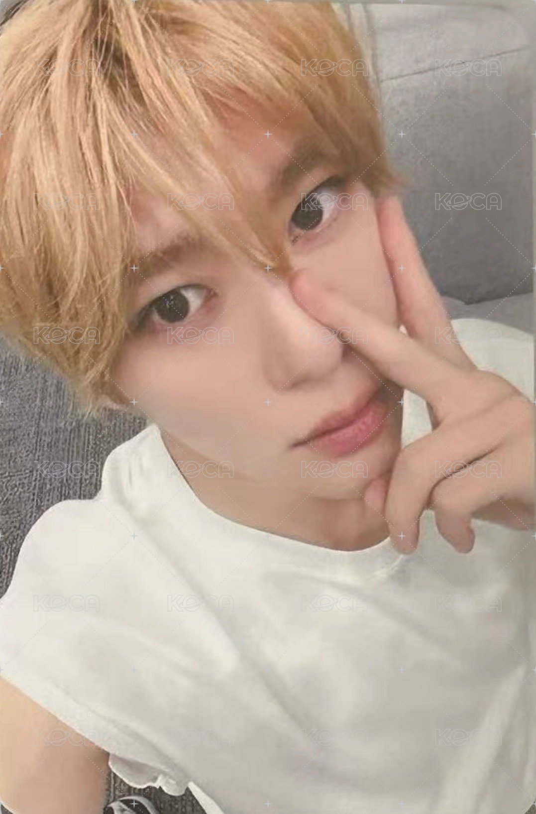 Songbird dmm 2.0 幸運卡  正面