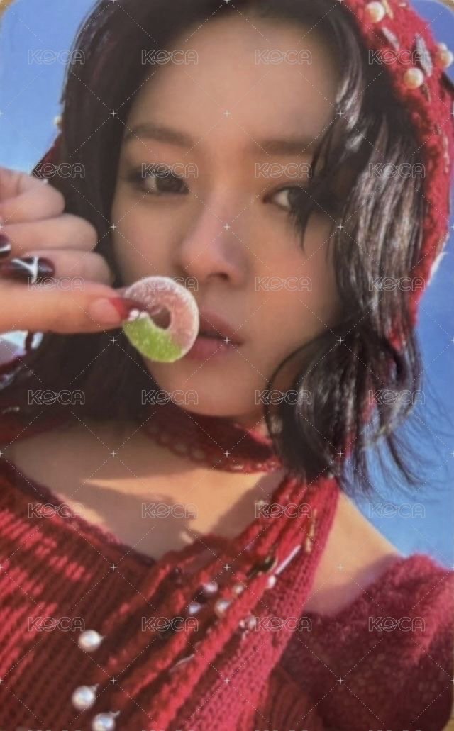 正規四 fans ver.團封 特典卡  正面