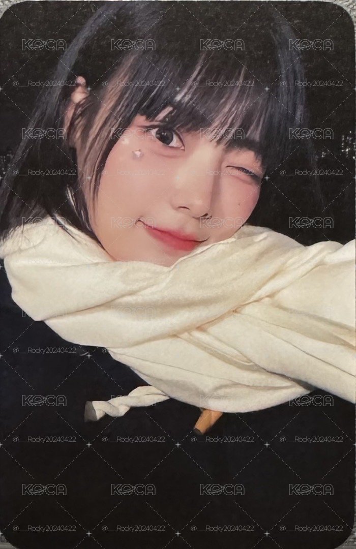 圍巾燕