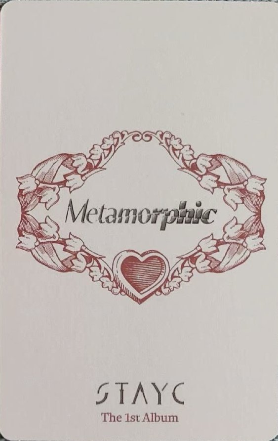 正規一 專輯卡 STAYC 正規一 森勾 雙人專卡 背面