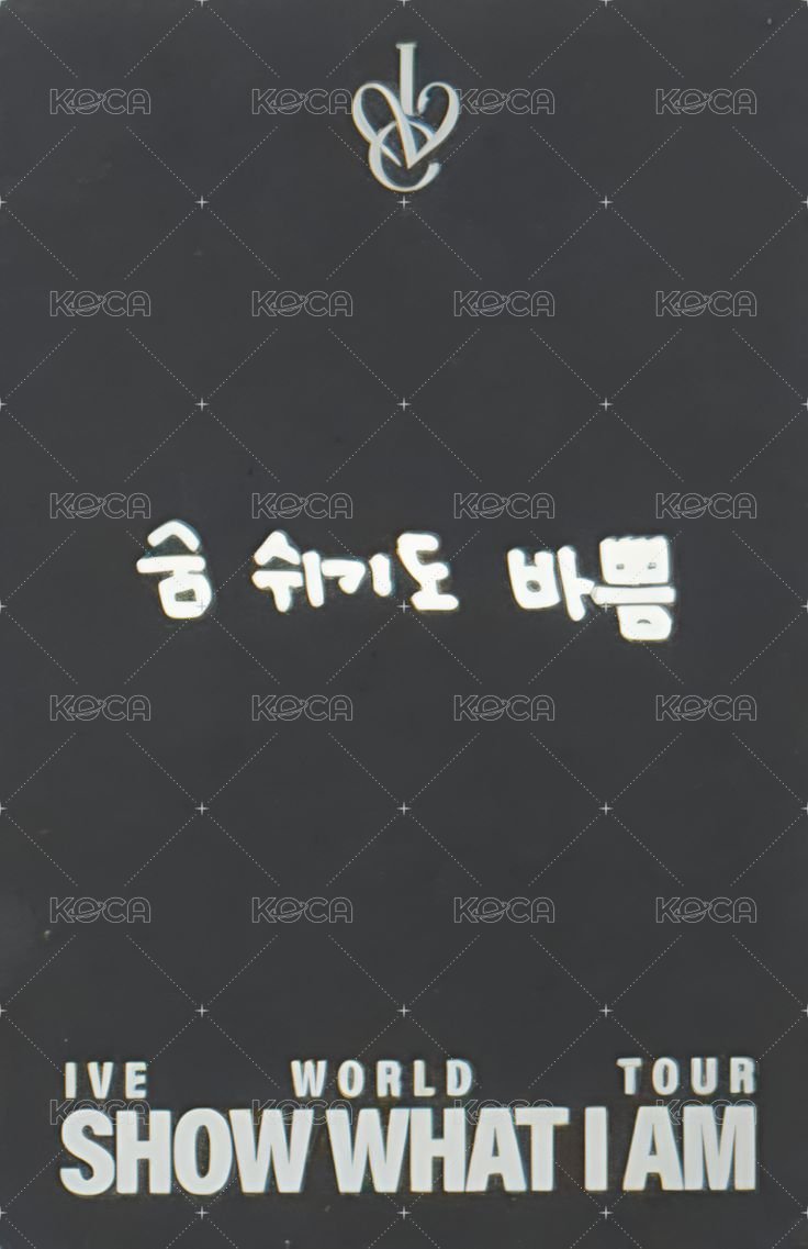 SHOW WHAT I AM 入場卡 / 場限卡 DAY2  背面