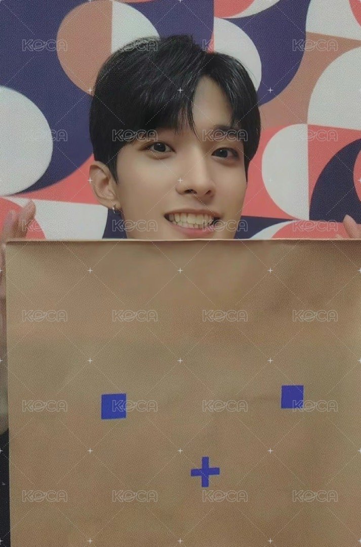 正四 專輯卡 正規四｜CARAT ver. 正面