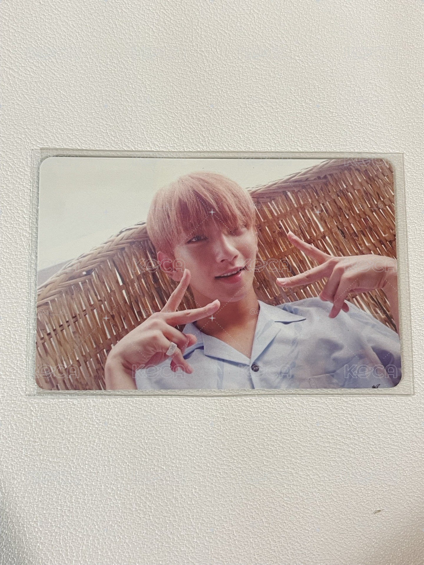 Seventeen 多秀卡