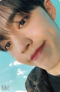 22’D社 周邊卡 22’DICON｜卡冊固卡