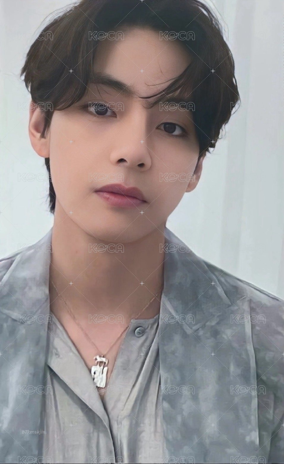 Proof 專輯卡 Compact 隨機 正面