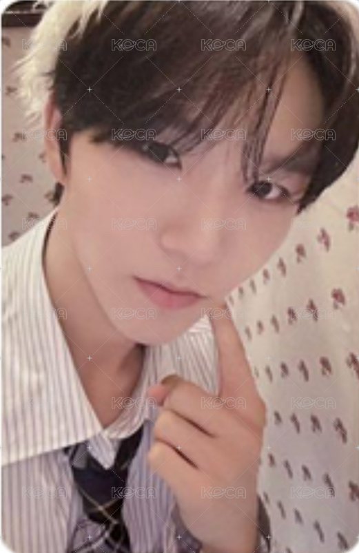 WISHFUL mumo 特典卡  正面