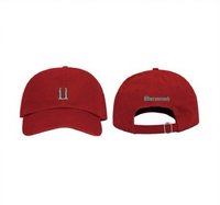 媒體藝術展 棒球帽 紅色