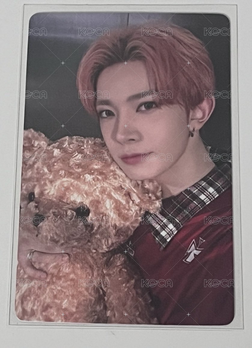 正二 yzy 4.0抱熊 特典卡  正面