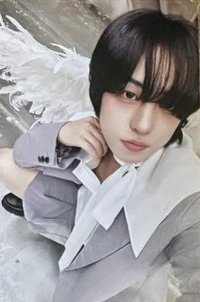 BTL 專輯卡 WVS Albums ver