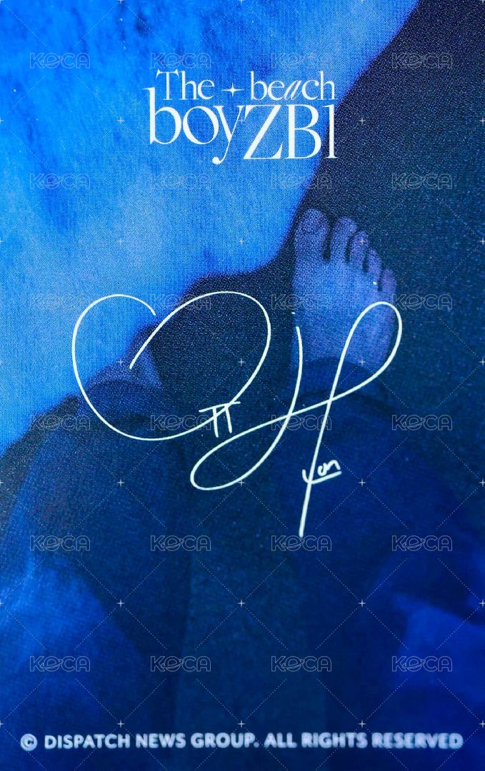 DICON D社 快閃店 隨機卡 閃卡 背面