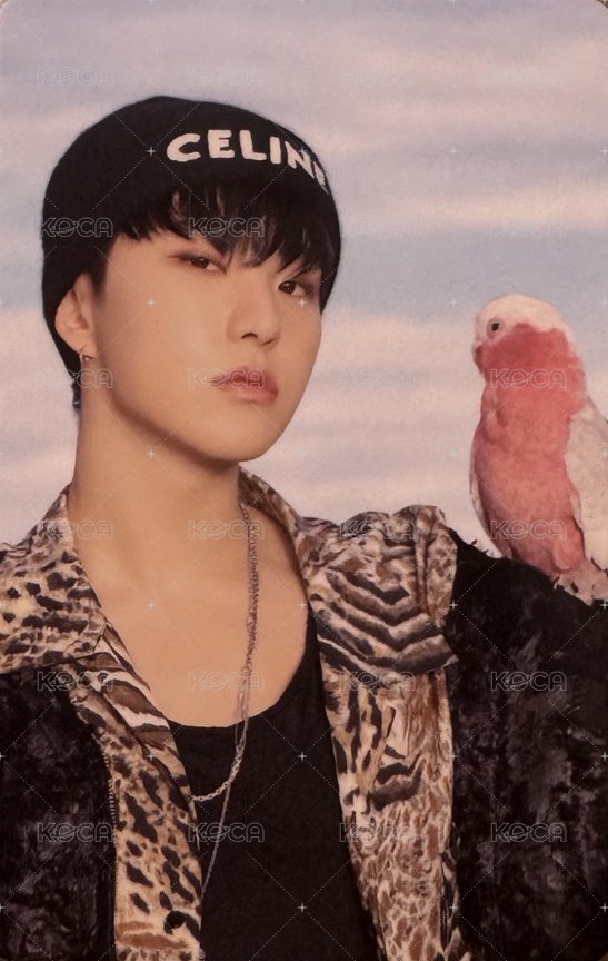 22’D社 D社 周邊卡 22’｜卡冊固卡 正面