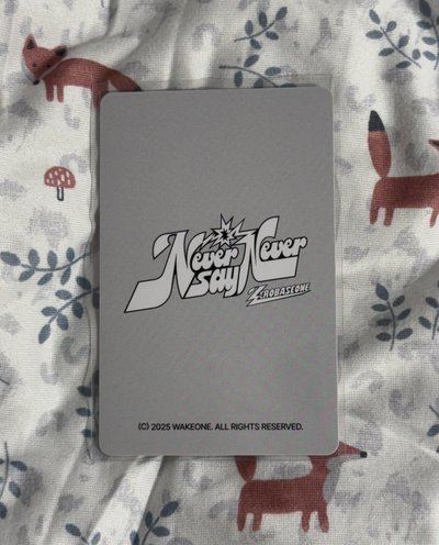 MD滿額可愛小奎