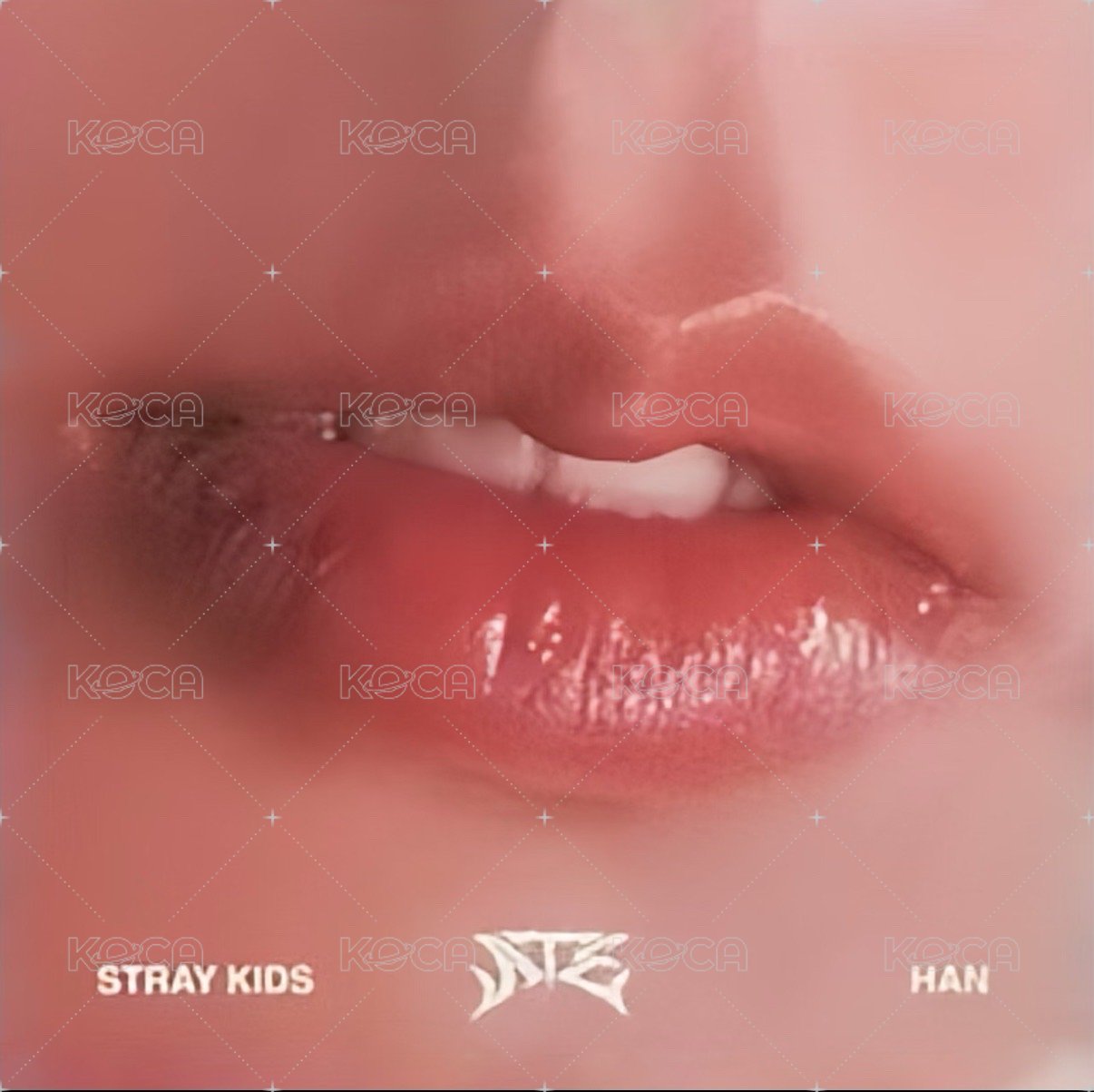 ATE 專輯卡 Accordion ver. 唇卡 正面