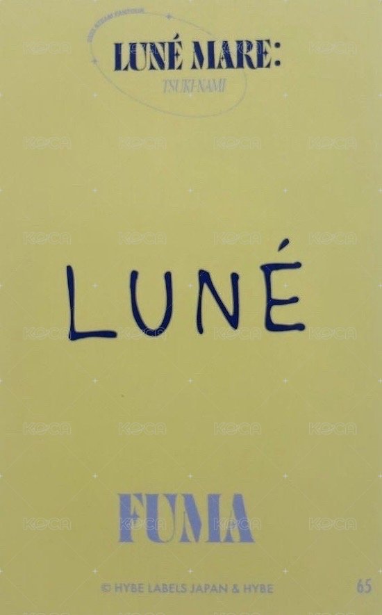 月波 隨機卡  背面