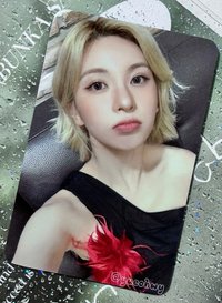 sw裴