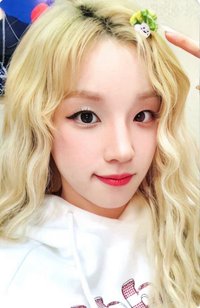 We are dmm 特典卡 預售