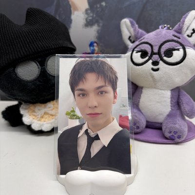 🐻‍❄️瀚率VERNON｜精選專｜環球｜特典卡 