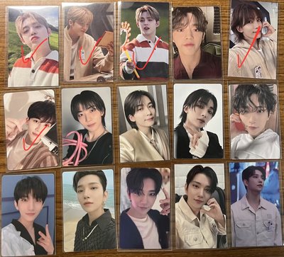 95line(打勾需綁可綁物至括號金額）